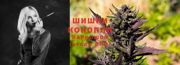 гашик Арсеньев