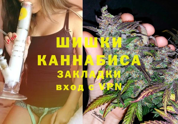 гашик Арсеньев