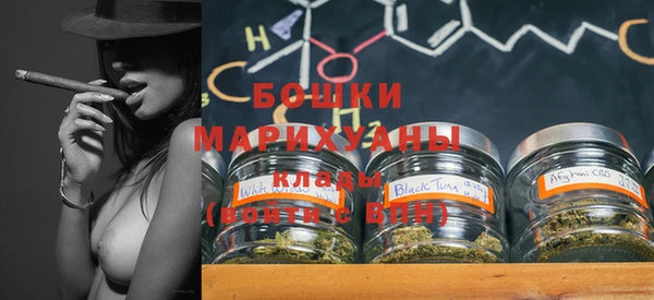 гашик Арсеньев
